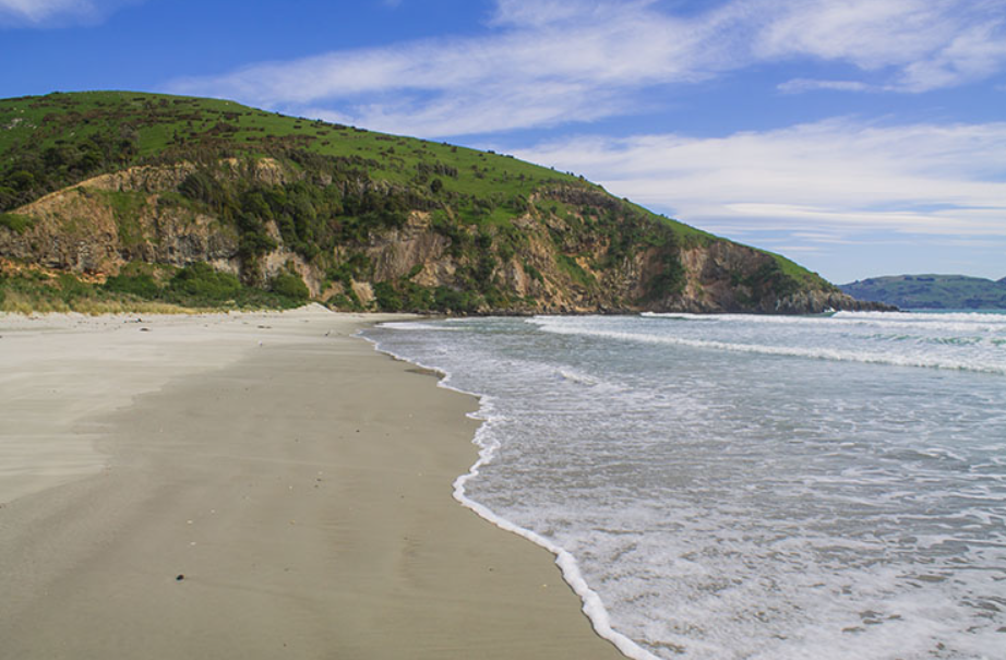 Whareakeake (Murdering Beach), Dunedin, New Zealand